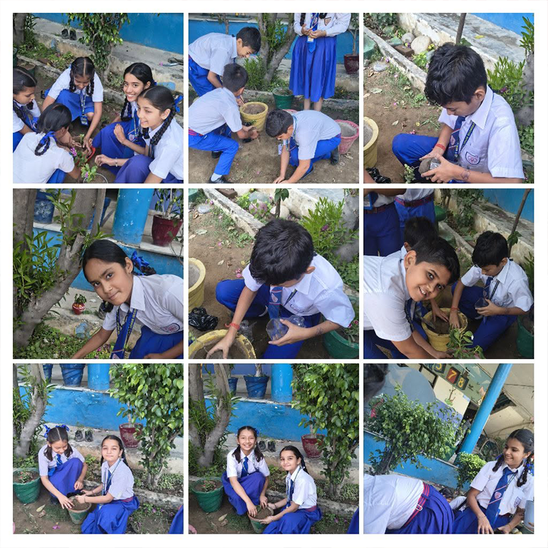 NewGmtPublicschool